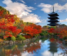 Japonya ve Kore Mistik Rotalar Turu THY ile 7 Gece