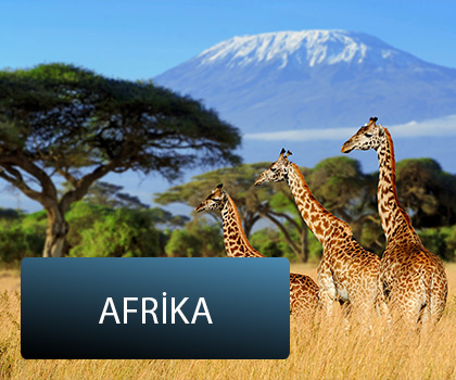 Afrika Turları
