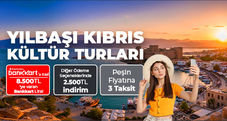 yilbasi-kultur-turlari