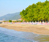 Yalova Otelleri