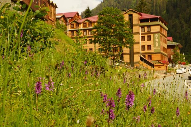 Ayder Resort Hotel