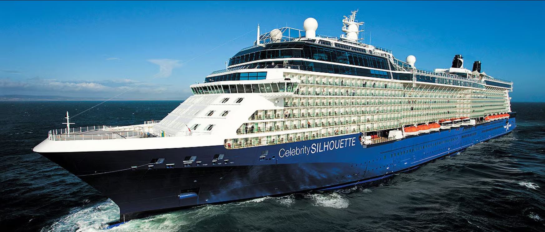 Celebrity Silhouette