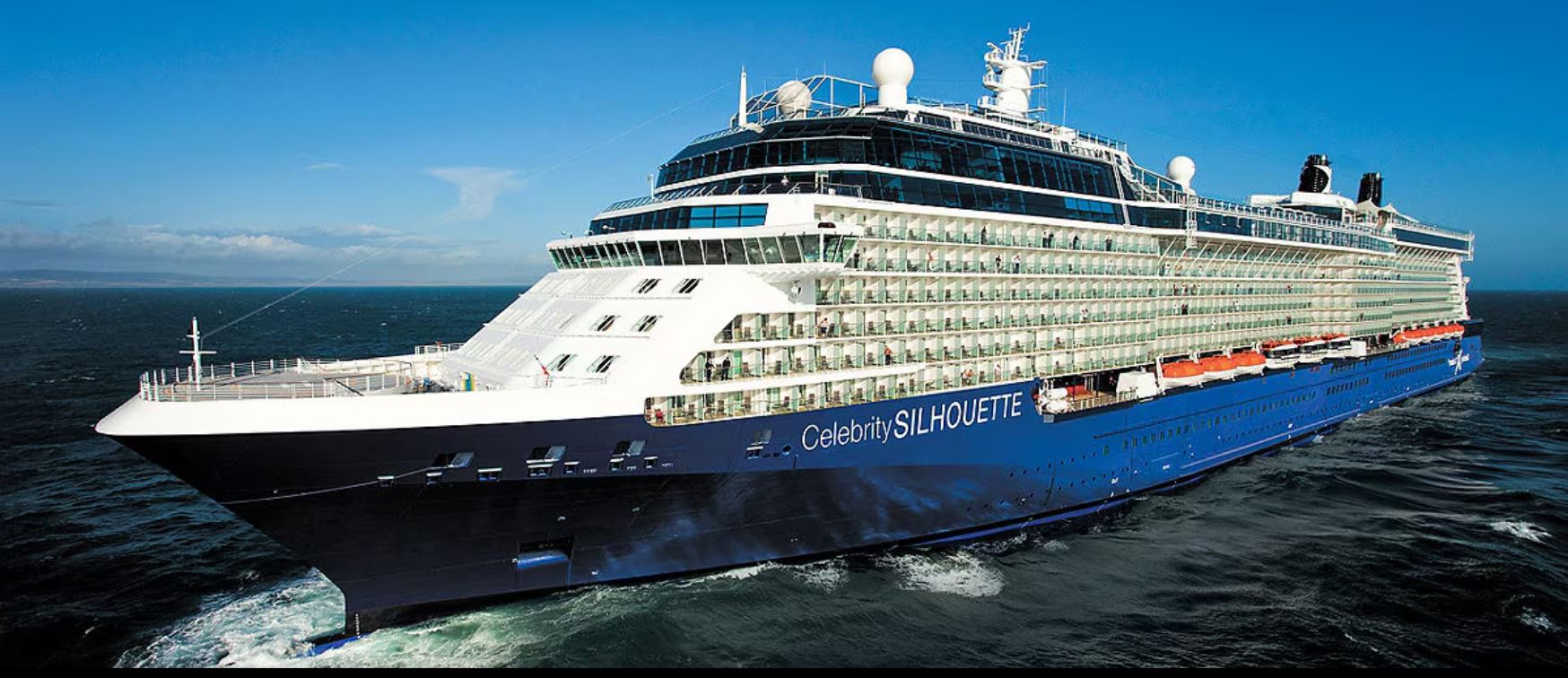 Celebrity Silhouette
