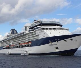 Celebrity Infinity ile Güney Amerika & Antarktika Gemi Turu - THY ile 16 Gece