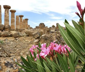 MSC Poesia ile Ege ve Akdeniz Gemi Turu - Kuşadası Çıkışlı - 11 Gece