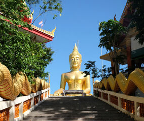 Bangkok - Phuket - Phi Phi - Pattaya Tayland'ın İncisi Rotalar Turu THY ile 7 Gece