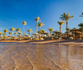 Sharm El Sheikh Kızıldeniz Rotası Turu THY ile 5 Gece