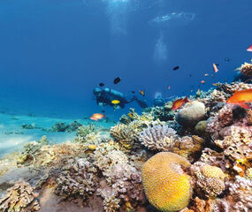 Sharm El Sheikh Kızıldeniz Rotası Turu THY ile 5 Gece