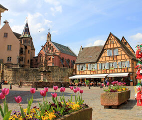 Elit Alsace ve Colmar Turu THY ile 3 Gece 19 Mayıs Dönemi Ekstra Turlar Dahil