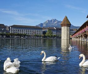 Elit Avrupa'nın Doğa Cenneti İsviçre Turu THY ile 3 Gece Ramazan Bayramı Dönemi Ekstra Turlar Dahil