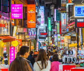 Gion Matsuri Festival Özel Japonya & Kore Turu Mistik Rotalar THY ile 7 Gece
