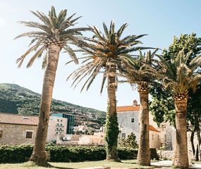 Budva, Tiran Turu Air Albania HY ile 5 Gece