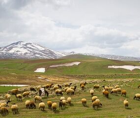 Butik Kars - Erzurum Turu Türk HY ile 2 Gece Sömestr Özel