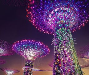 Klasik Uzakdoğu Turu THY ile 10 Gece Singapur Çıkışlı