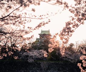 Japonya ve Güney Kore Turu Emirates HY ile 12 Gece Ekstra Turlar Dahil