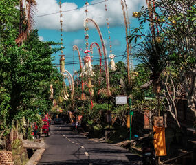 Bali - Ubud Turu Singapur Havayolları Ile 6 Gece
