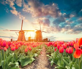İzmir Çıkışlı Sömestr Özel Amsterdam - Rotterdam ve Şirin Kasabaları Turu SunExpress HY ile 3 Gece - Tüm Turlar Dahil