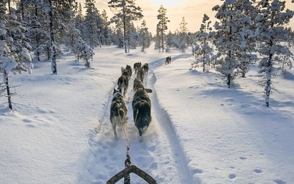 Finlandiya Lapland Beyaz Rotalar Turu - THY ile 2 Gece - Tüm Turlar Dahil