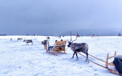 Finlandiya Lapland Beyaz Rotalar Turu - THY ile 2 Gece - Tüm Turlar Dahil