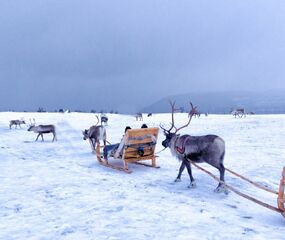 Lapland Beyaz Rotalar Çifte Yılbaşı Turu - Freebird HY ile 3 Gece