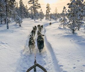 Lapland Beyaz Rotalar  Tornio Turu - THY ile 3 Gece