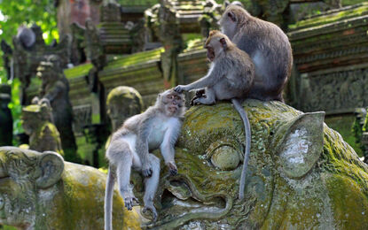 Bangkok - Bali - Ubud Turu Otantik Rotalar THY ile 7 Gece
