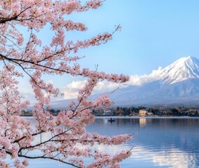 Comfort Japonya - Kore Turu THY ile 8 Gece Ekstra Turlar Dahil