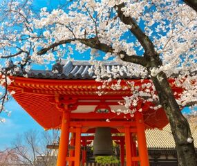 Comfort Japonya - Kore Turu THY ile 8 Gece Ekstra Turlar Dahil