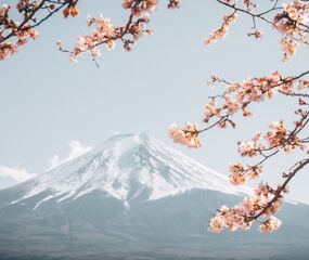 Comfort Japonya - Kore Turu THY ile 8 Gece Ekstra Turlar Dahil