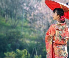 Comfort Japonya - Kore Turu THY ile 8 Gece Ekstra Turlar Dahil