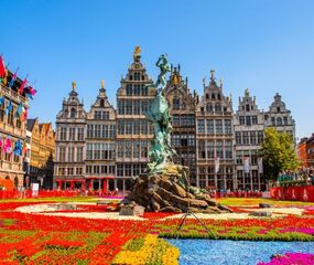 Comfort Benelux - Paris ve Alsace Turu - THY ile 7 Gece - Ekstra Turlar Dahil (AMS - BSL)