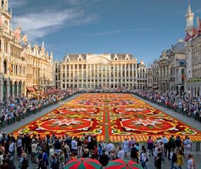 Comfort Benelux - Paris ve Alsace Turu - THY ile 7 Gece - Ekstra Turlar Dahil (AMS - BSL)