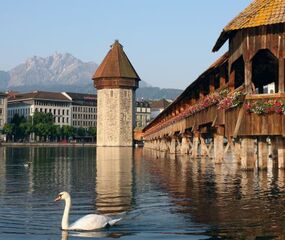 Comfort Benelux - Paris ve Alsace Turu - THY ile 7 Gece - Ekstra Turlar Dahil (AMS - BSL)