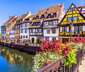 Comfort Benelux - Paris ve Alsace Turu - THY ile 7 Gece - Ekstra Turlar Dahil (AMS - BSL)