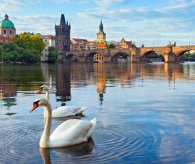 Prime Prag Turu Pegasus Havayolları ile 3 Gece