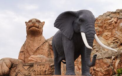 Dolu Dolu Güney Afrika Safari Rotası Turu V2 THY ile 6 Gece