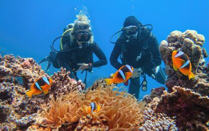 Mısır - Hurghada Deniz Kum Güneş Rotası Turu THY ile 4 Gece V2