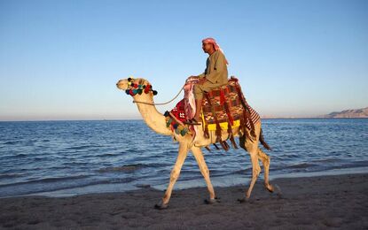 Prime Sharm El Sheikh Turu Pegasus Hava Yolları ile 4 Gece Yaz Dönemi