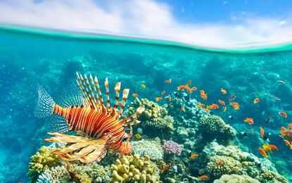 Prime Sharm El Sheikh Turu Pegasus Hava Yolları ile 4 Gece Yaz Dönemi