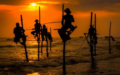 Sri Lanka Turu Jazeera HY ile 5 Gece (CMB-CMB)