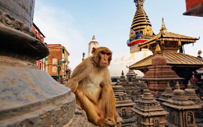 Nepal & Hindistan & Sri Lanka  Devr-İ Âlem Turu THY ile 9 Gece