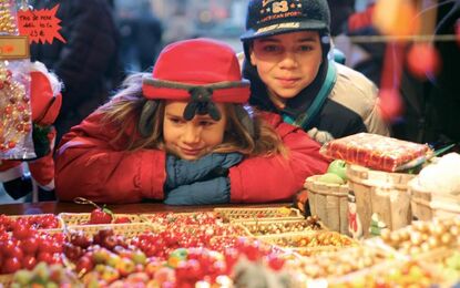 Elit Alsace İsviçre Noel Pazarları Turu THY ile 3 Gece Ekstra Turlar Dahil (Basel Gidiş - Cenevre Dönüş)