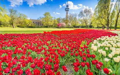 Hollanda Amsterdam Turu THY ile 4 Gece 29 Ekim Dönemi