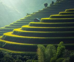 Bali Serüveni Turu Emirates HY ile 5 Gece