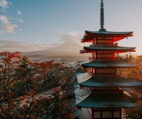 Comfort Japonya Turu Etihad HY ile 6 Gece - Koyo Dönemi - Ekstra Turlar ve Samuray Gösterisi Dahil