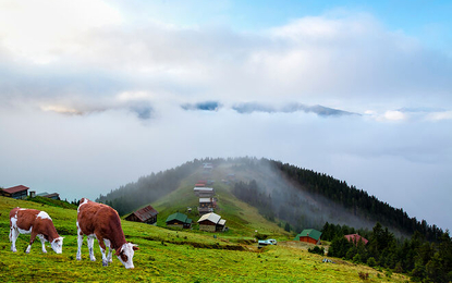 Karadeniz Yaylalar Batum Turu Otobüs ile 3 Gece 19 Mayıs Özel