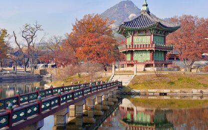 Sakura Dönemi Japonya - Kore Mistik Rotalar Turu THY ile 7 Gece