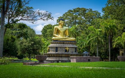 Sri Lanka Tropik Ada Tatili Turu Air Arabia HY ile 5 Gece