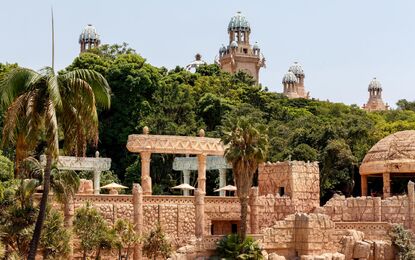 Süper Promo Güney Afrika Safari Rotası Turu THY ile 6 Gece
