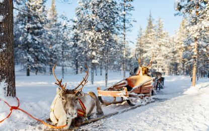 Süper Promo Lapland Beyaz Rotalar Turu - THY ile 4 Gece